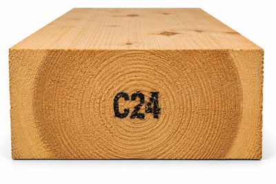 8" x 4" (200mm x 100mm) C24 Black Forest German Timbers