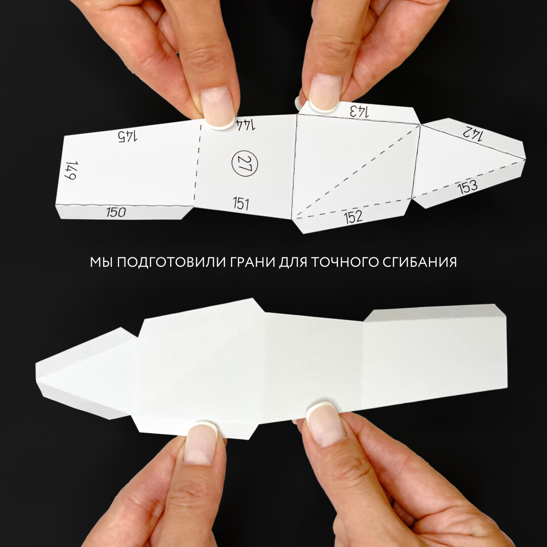 DIY Cat Papercraft sculpture sitting cat, Papercrafting, Low Poly animals pet 3D puzzle