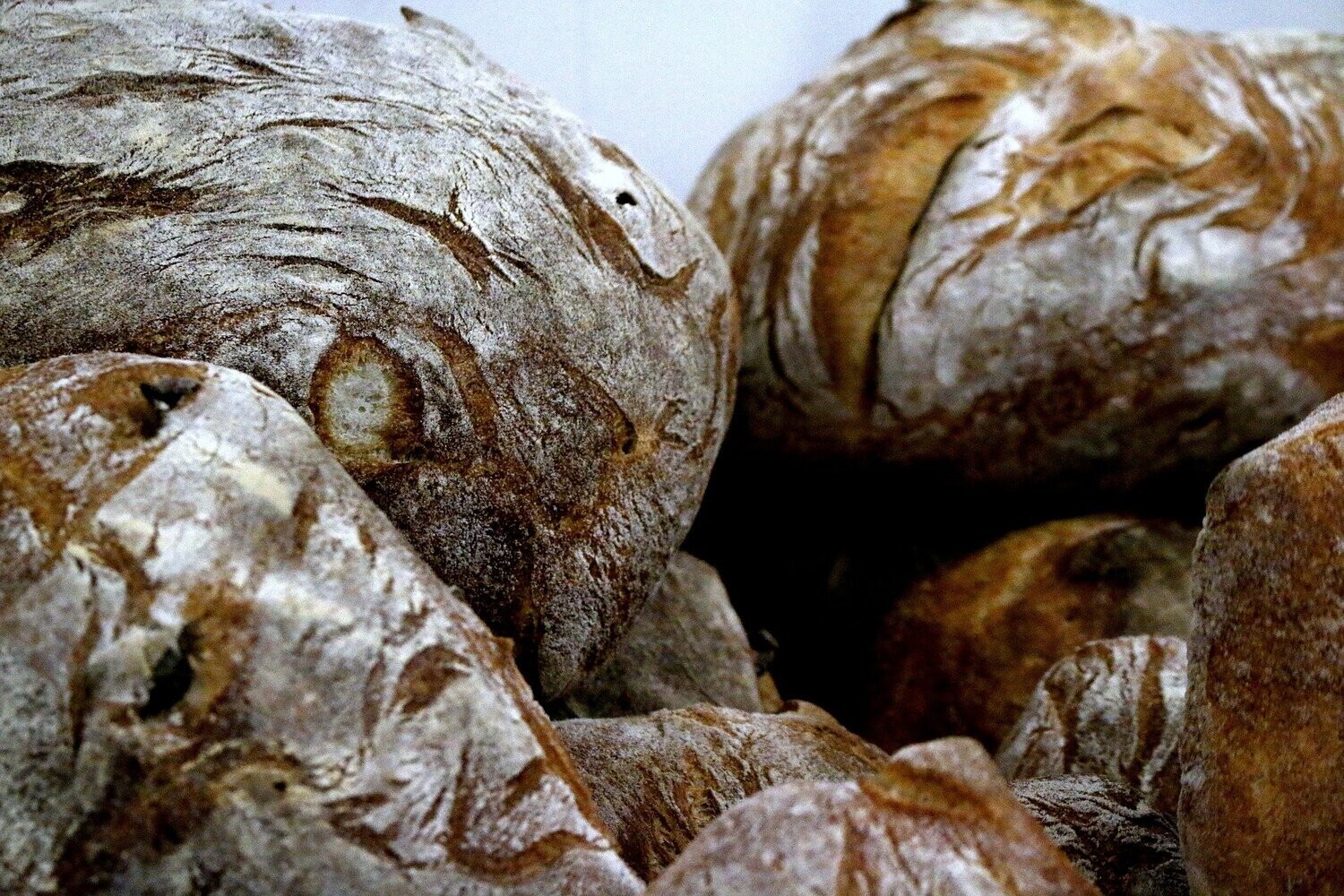Rustikale Brote mit Sauerteig neu entdeckt - Grundkurs
26.04.2024 - 10-14 Uhr