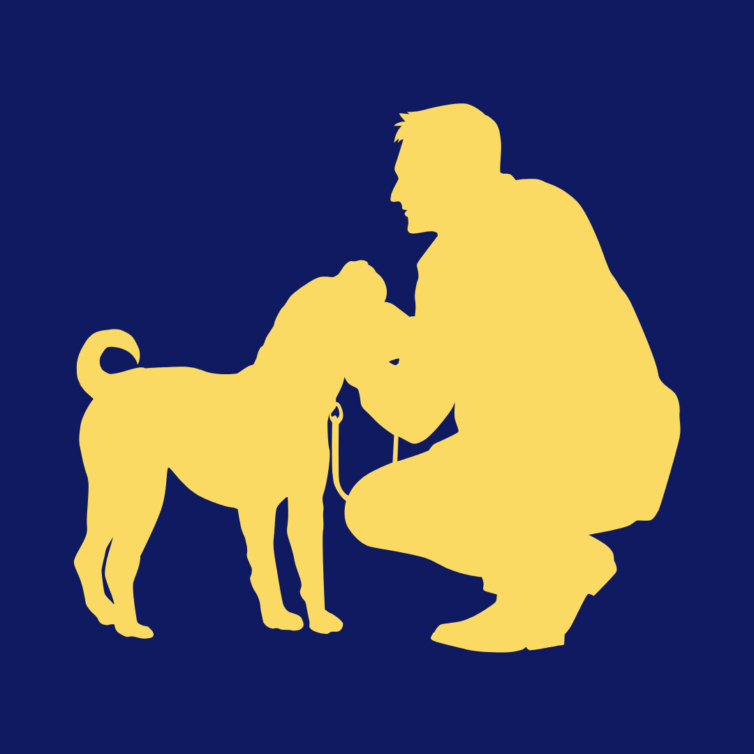 On-Demand Introduction to Positive Reinforcement