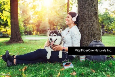 MindBody Audiobook Collection