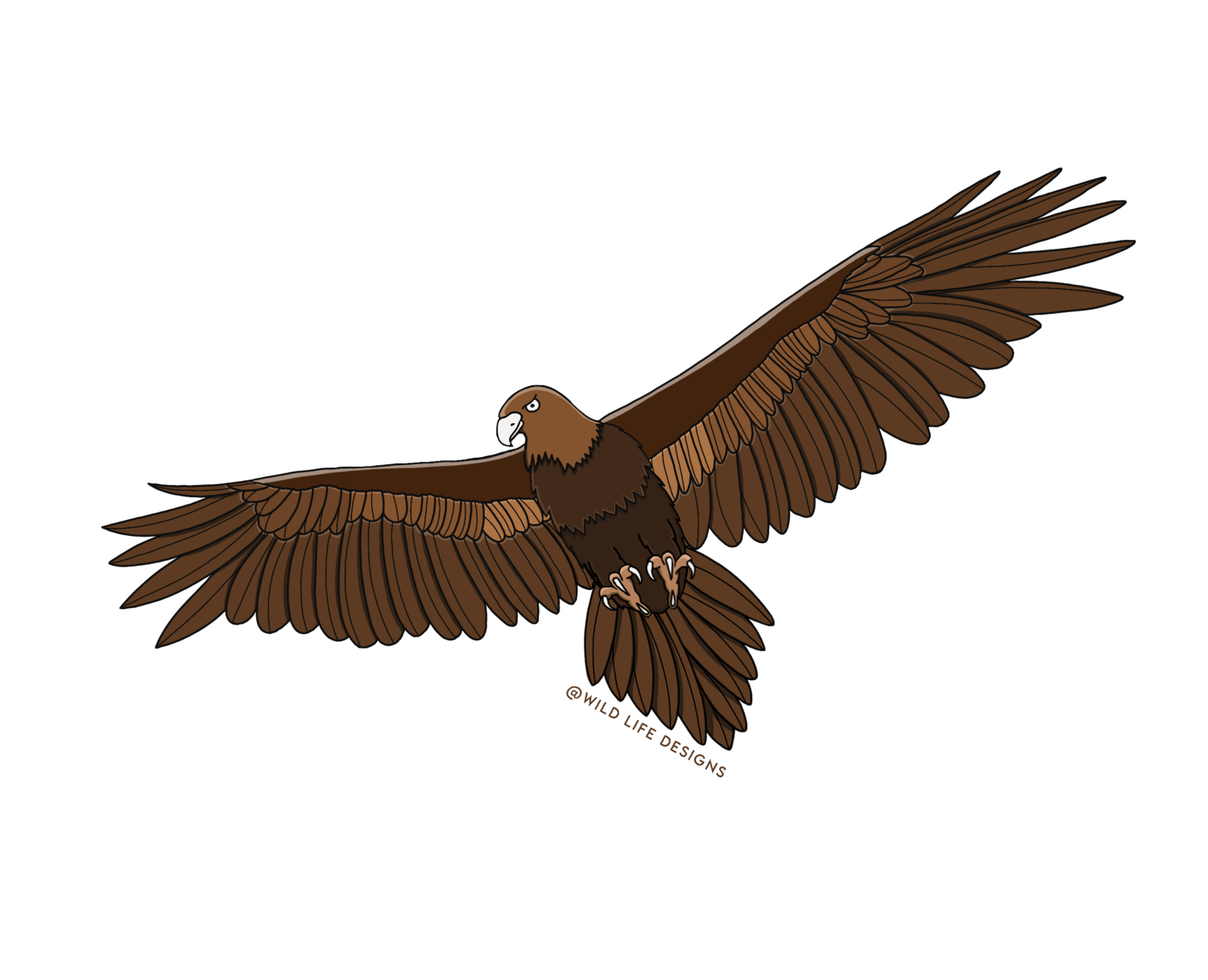 Wedge-tailed Eagle Sticker - Extra Large
