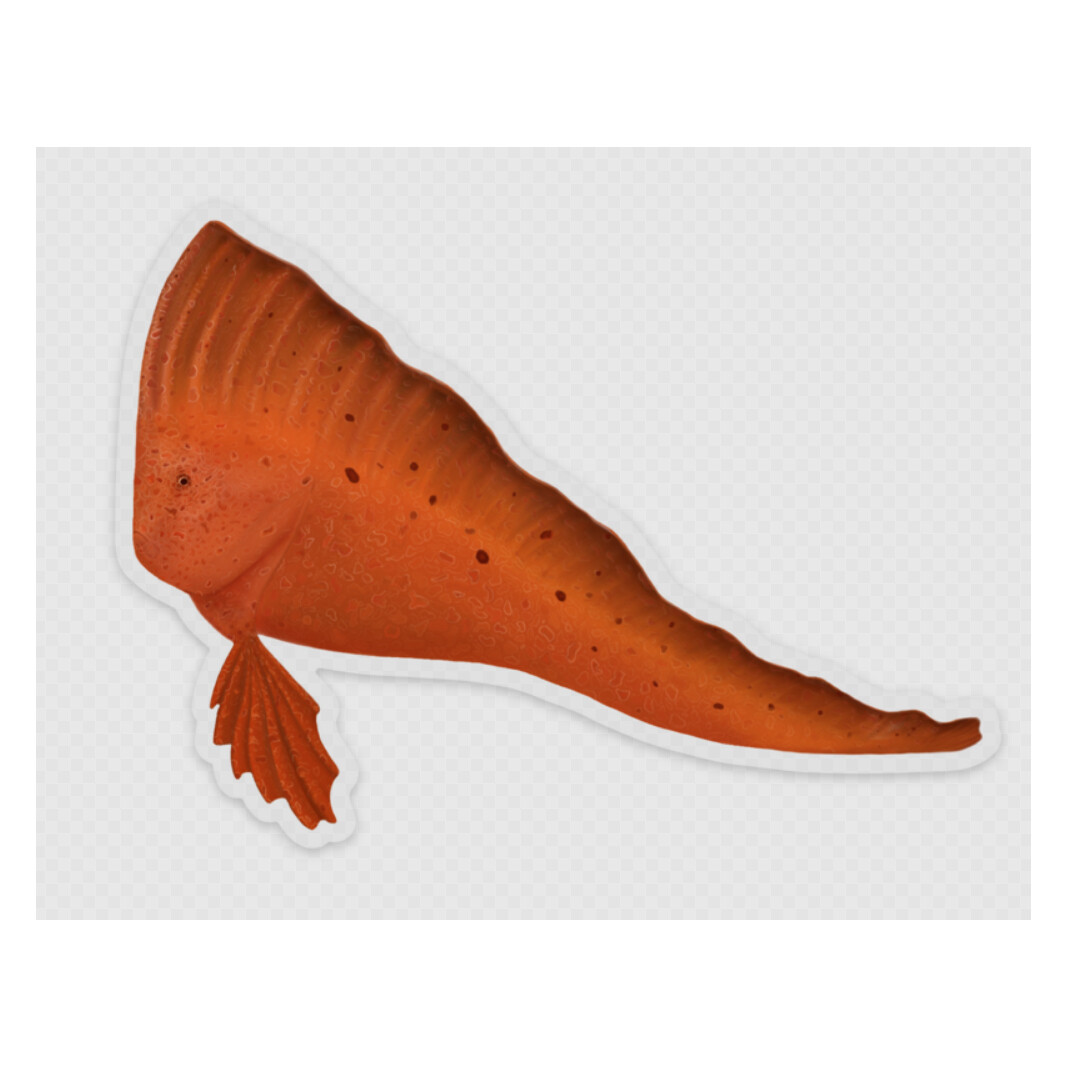 Red Indian Fish Sticker - Translucent