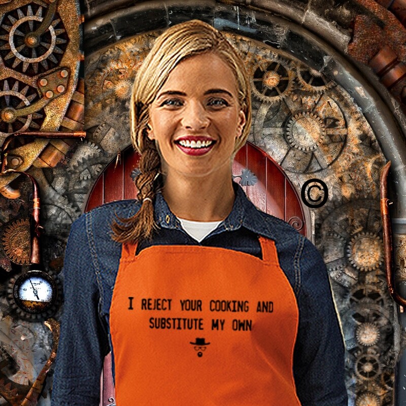 Myth Busters Fans Science Apron