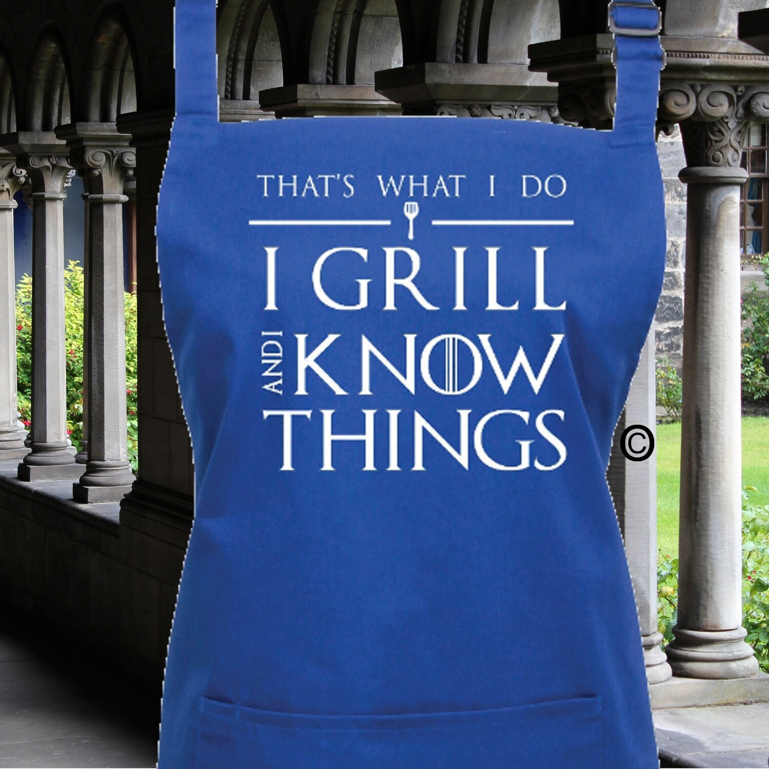 I Grill &amp; I Know Things! Game of Thrones Apron.