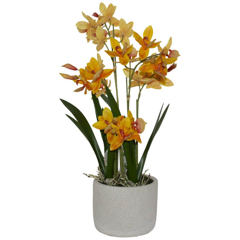 ORANGE SWAN TUB ORCHID BEIGE POT
