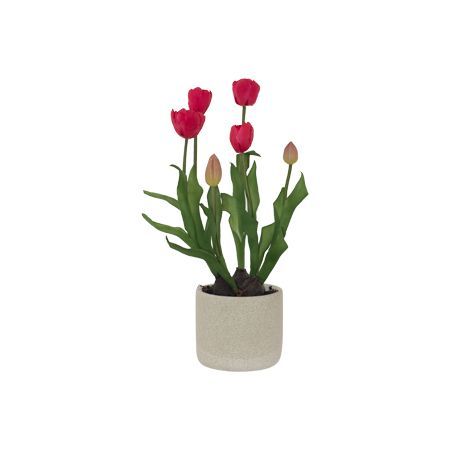 RED TULIP SPRAY IN POT
