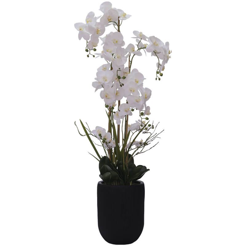 REAL TOUCH WHITE ORCHID 150cm