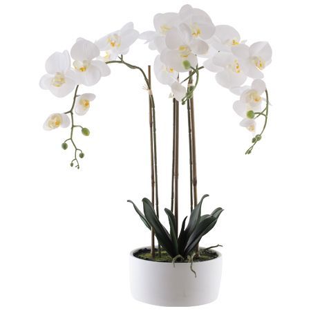 REAL TOUCH WHITE ORCHID IN POT