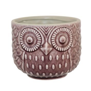 Owl Pot 11cm