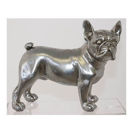SILVER BOSTON TERRIER