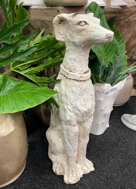 BASIL DOG AGED WHITE
