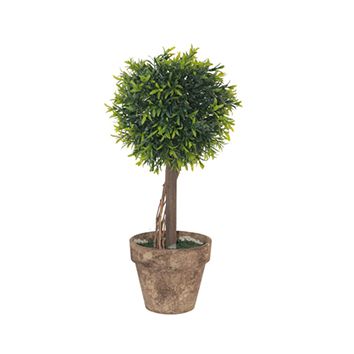 Green Leaf Topiary