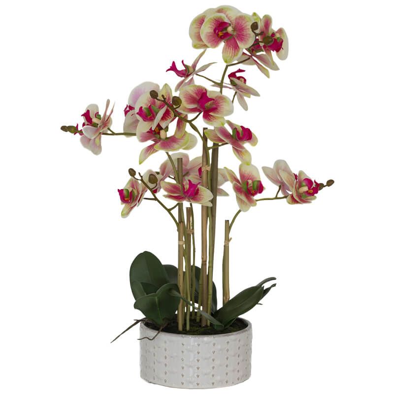 G/R REAL TOUCH ORCHID