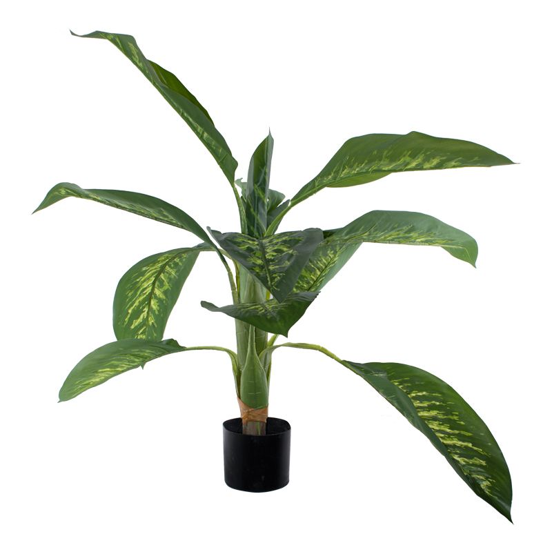 GREEN GIANT POTTED LEAF