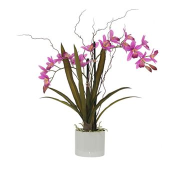 Hot Pink Orchid in Pot