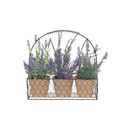 LAVENDER IN POT / METAL BASKET