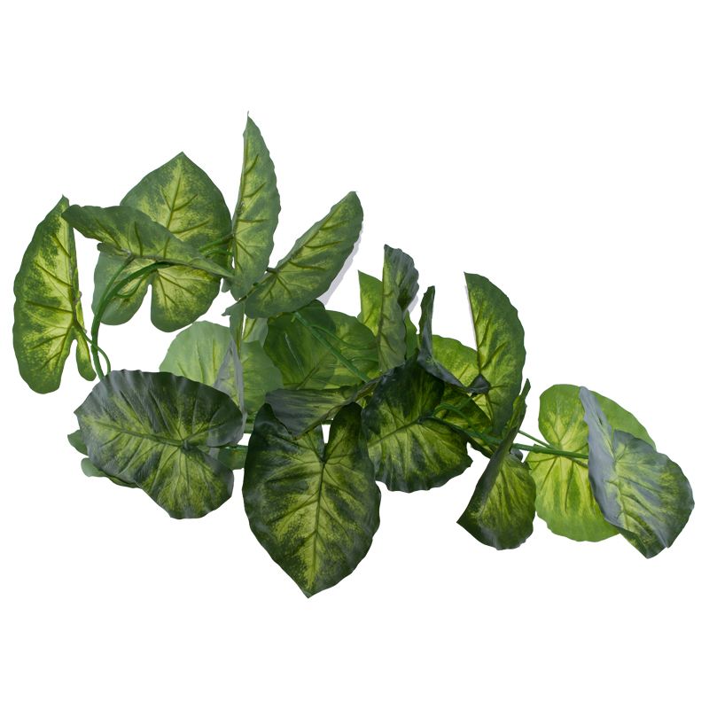 TARO LEAF SPRAY