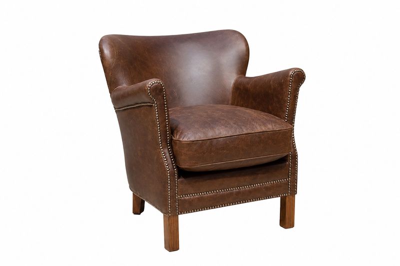THE PROFESSOR CHAIR