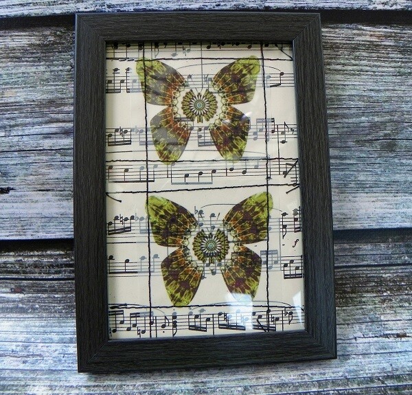 Butterflies & Vintage Music 2