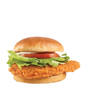 Chicken / Fish