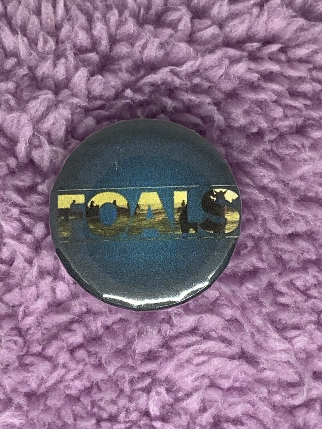 Foals Badge