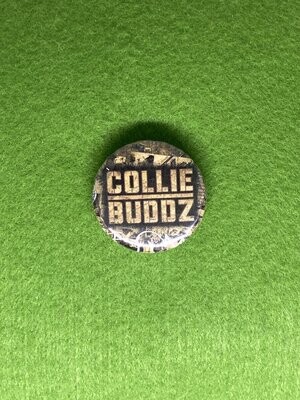 Collie Buddz Badge