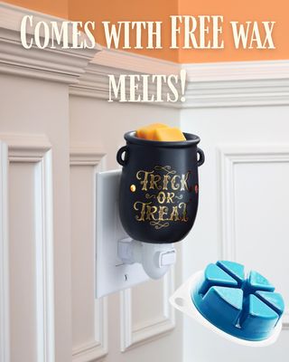 Cauldron Pluggable Wax Melter Warmer