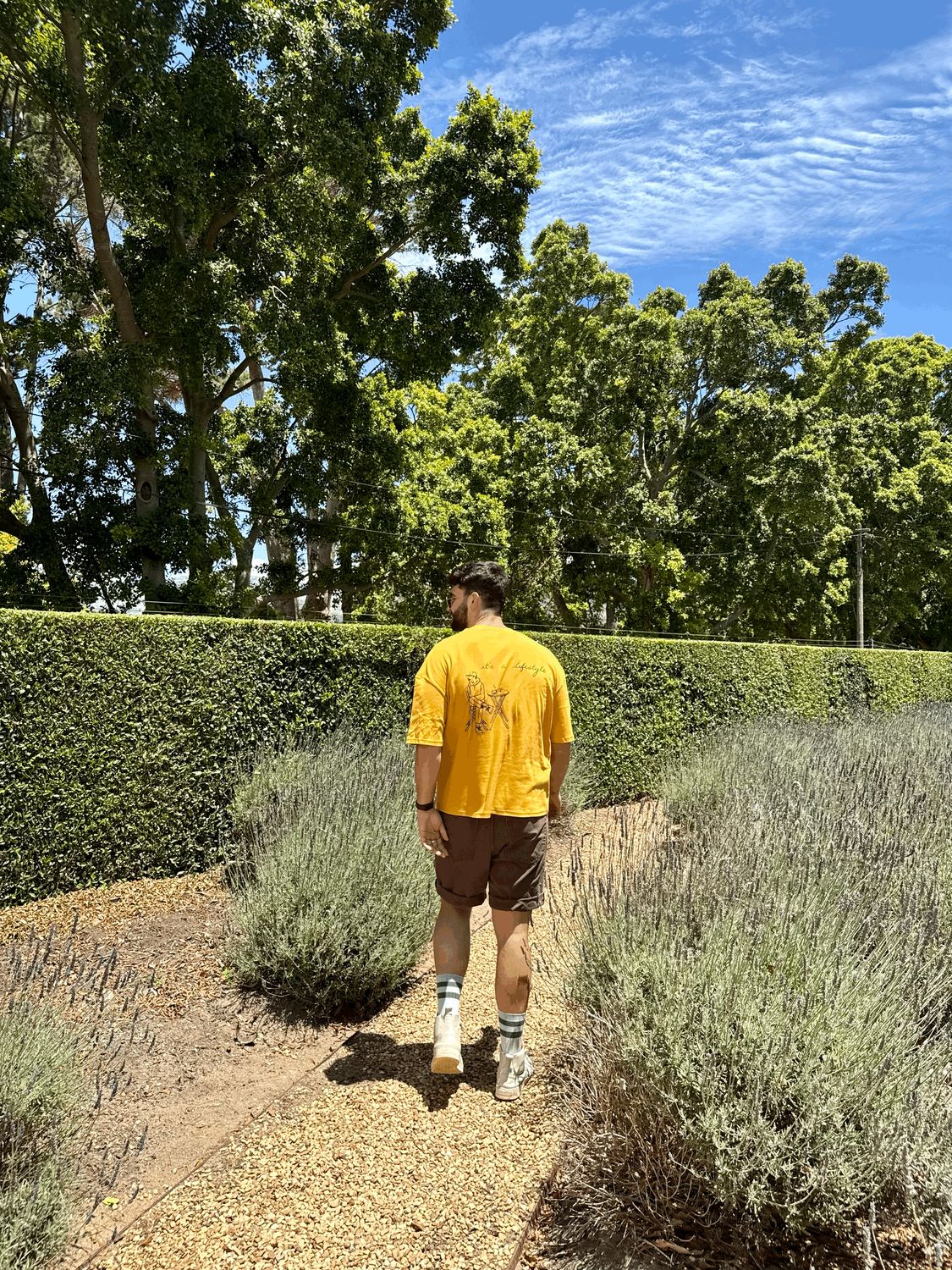 The Handwritten Tee - Mustard