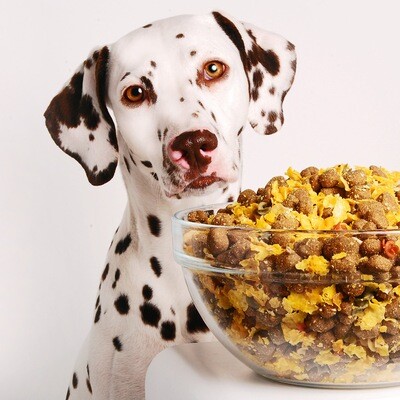HUNDEFUTTER
