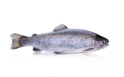 Fisch
