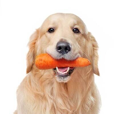 Vegetarisch