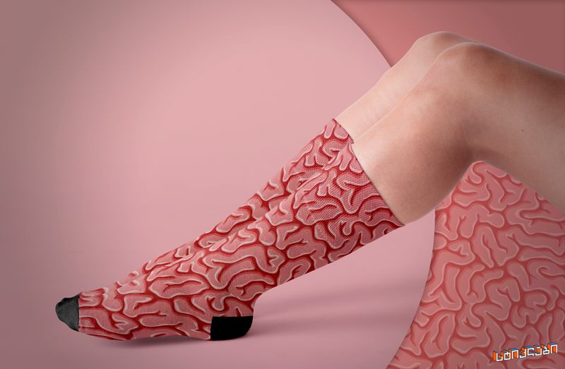 წინდა - Brain