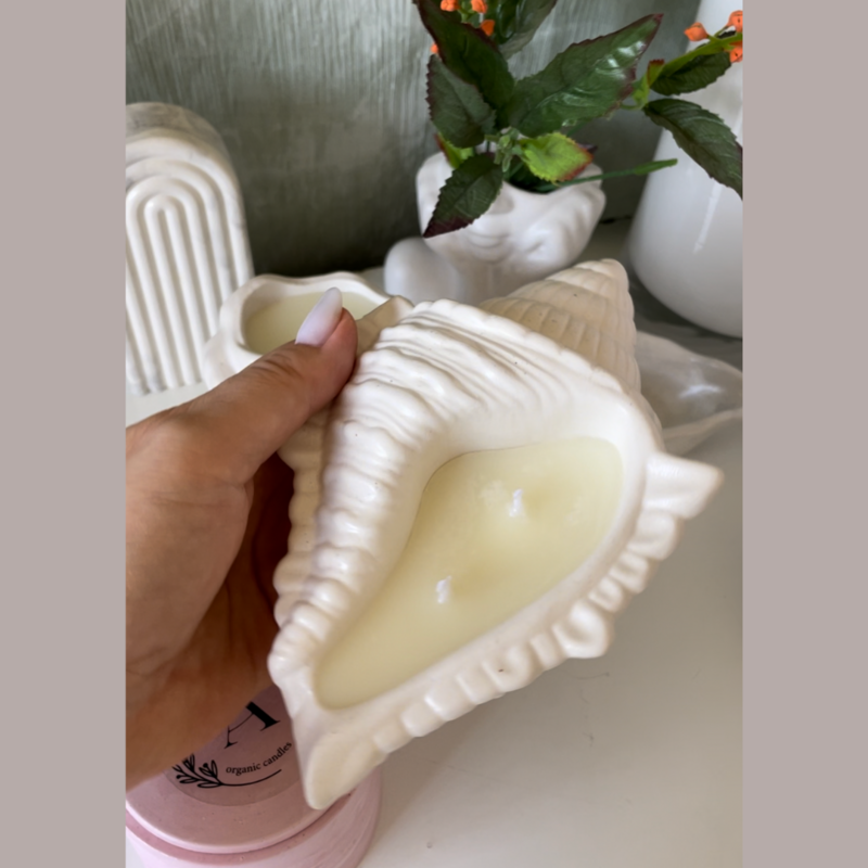 Scented candle in a shell Royal