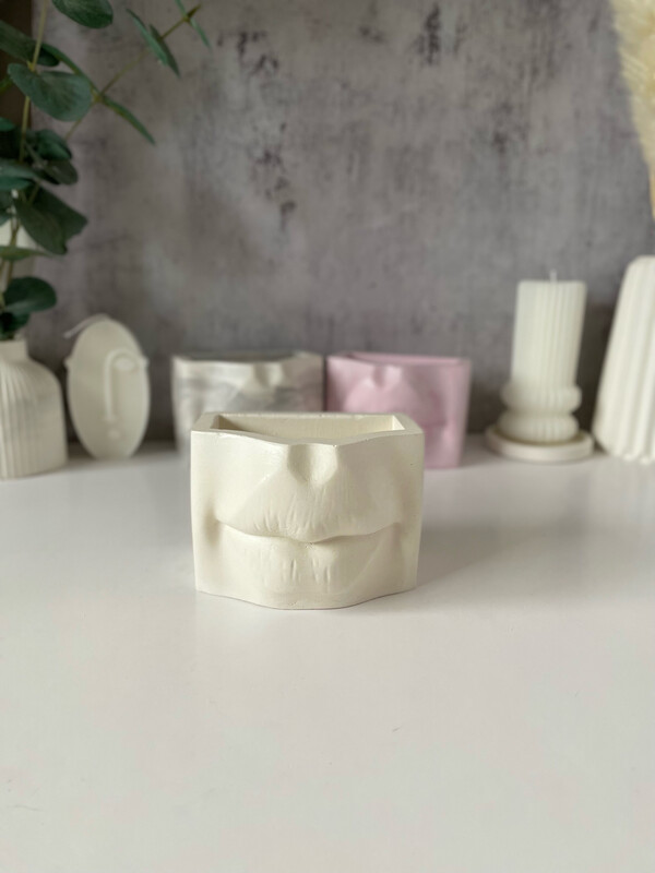 Lips. Interior vase for storage or dried flowers