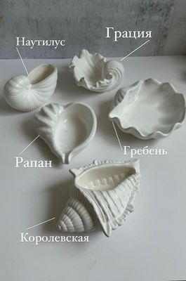 Ракушки из гипса. Декор для дома в Израиле