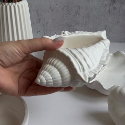 Ракушка. Декор для дома Израиль
