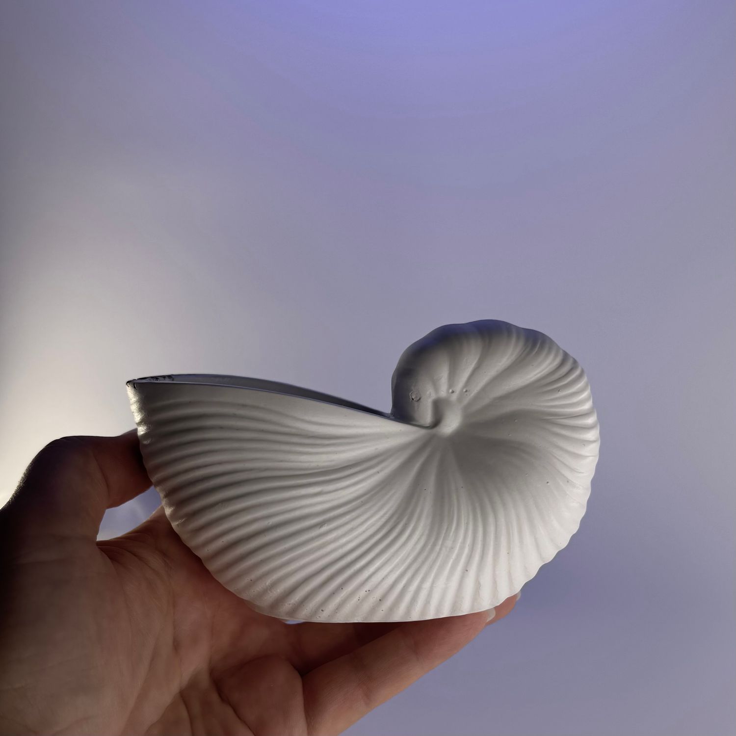 Nautilus Shell Scented Candle