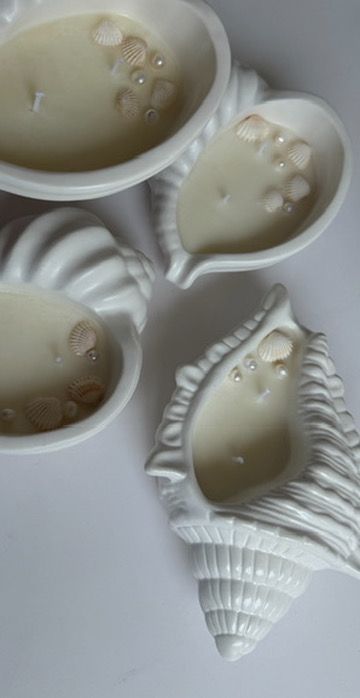 Scented candle in a shell Royal