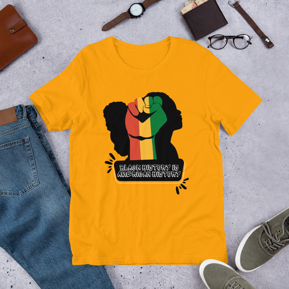 Black History is American History Unisex t-shirt