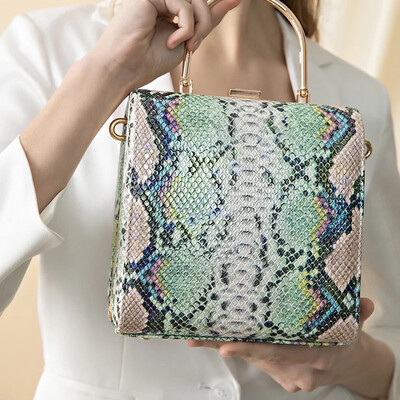Snake Skin Handbag