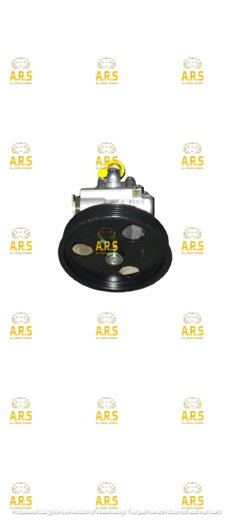 Duster Power Steering Pump