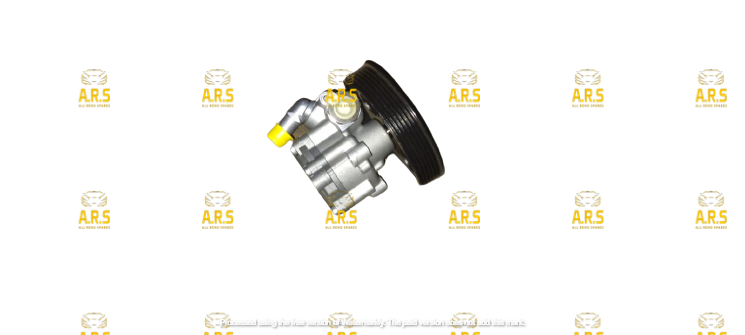 Duster Power Steering Pump