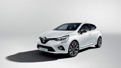 Renault Clio (all models)