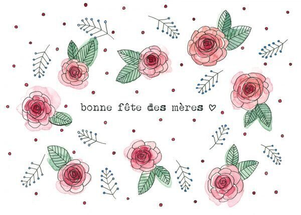 Camélia / 13 - Stéphanie Renière