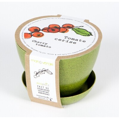 Minipot tomate cerise - Mano Verde