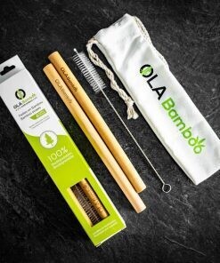 Pailles pour Smoothies réutilisables - OLA Bamboo