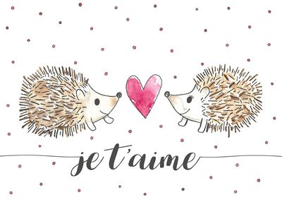 Danielle / 5 - Stéphanie Renière