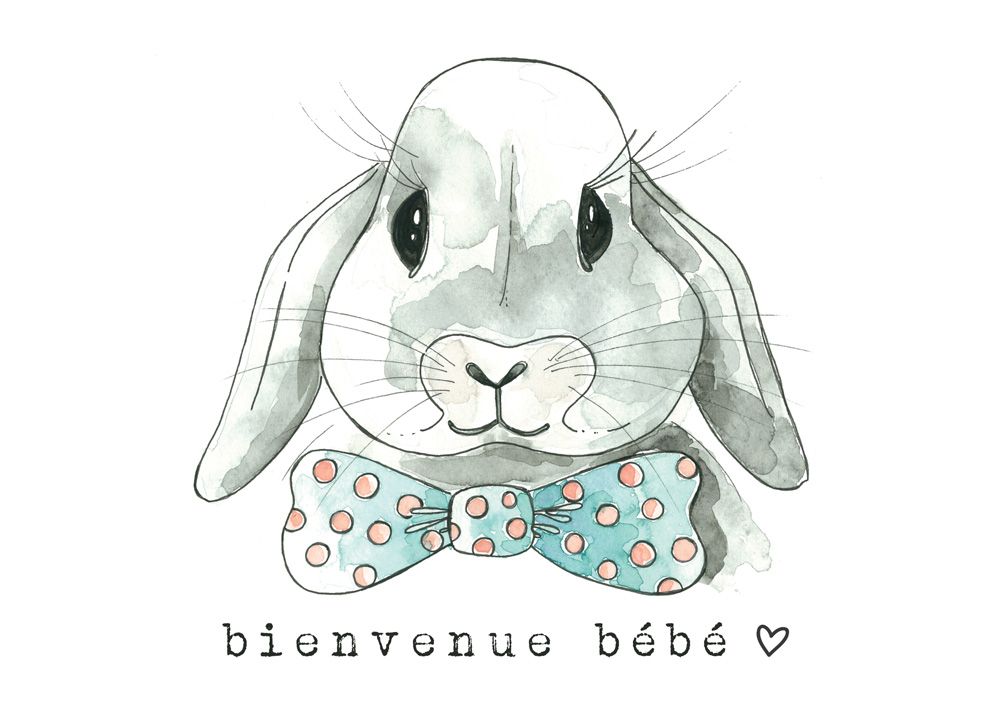 Léo / 3 - Stéphanie Renière