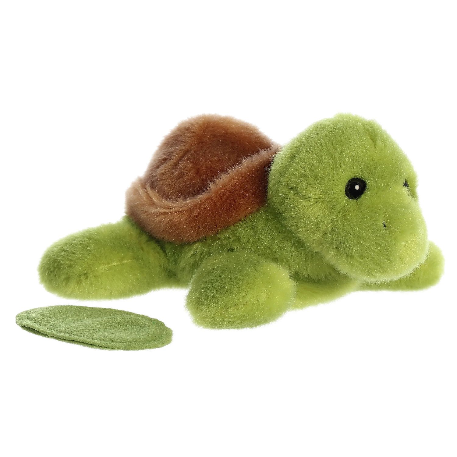 Tortue magnétique - Aurora